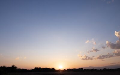 Could I have Sleep Apnoea?
